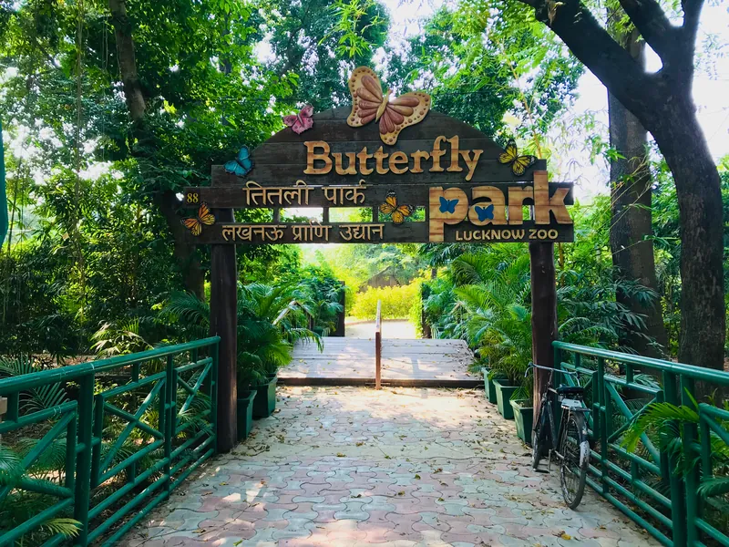 Lucknow Zoo Projects - Forest Vision Alliance Project